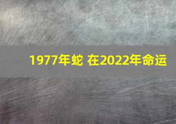 1977年蛇 在2022年命运